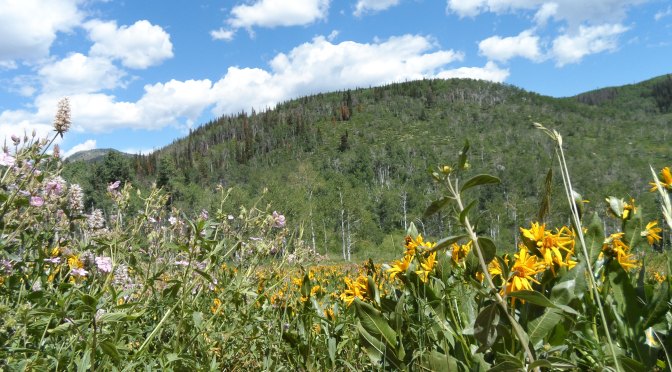 Vacationing The Summer Away In Steamboat Springs, Colorado